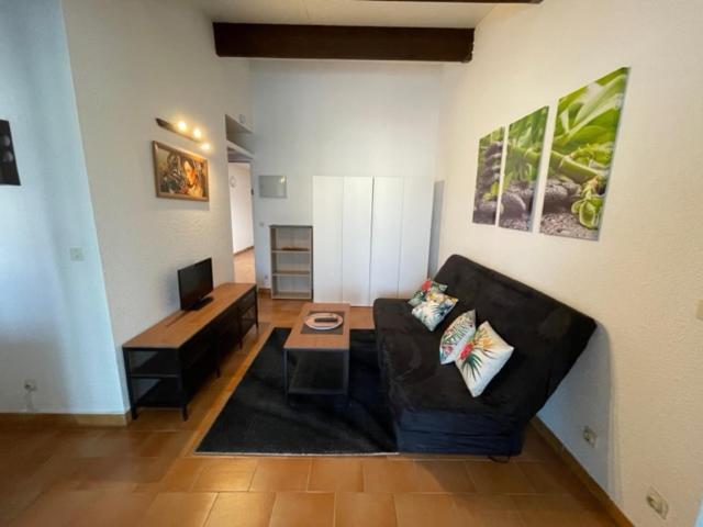 A 8 Mn A Pied Des Plages Appartement Avec Piscine Et Tennis Argelès-sur-Mer Exterior foto